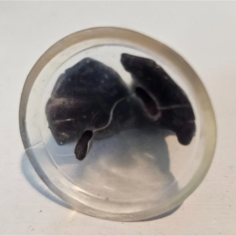 MTG Arena of the Planeswalkers Sori Markov Figure Replacement Piece